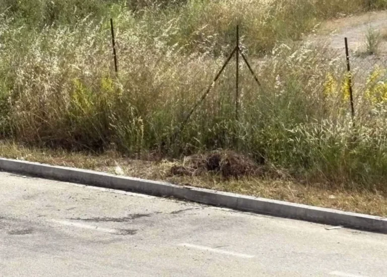 votanikos xorta
