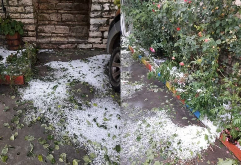 xalazi laka suli