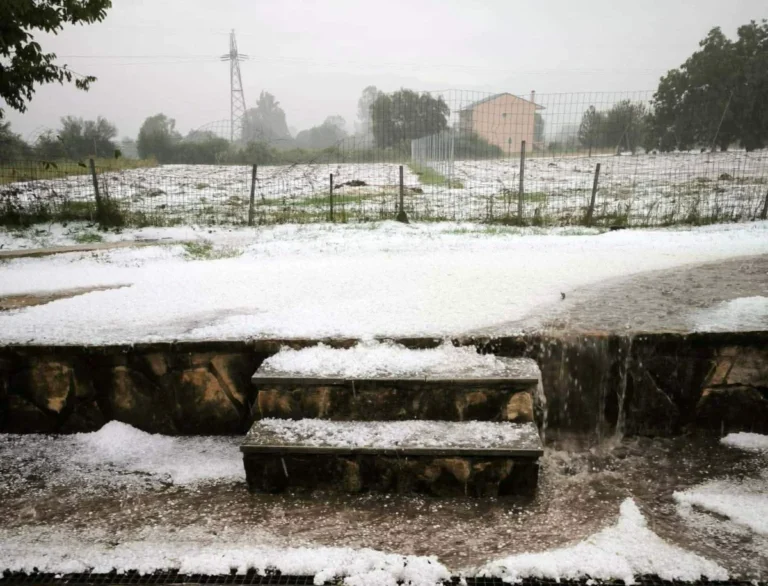 xalazi lekanopedio