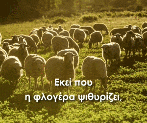 ΔΩΔΩΝΗ CORPORATE BANNER mb