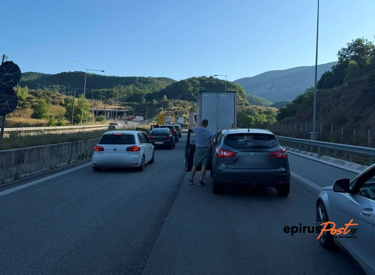 Ένας σκύλος μπλόκαρε την σήραγγα Δρίσκου και προκάλεσε κυκλοφοριακό χάος στην Εγνατία- ΕΙΚΟΝΕΣ 1 driskos egnatia