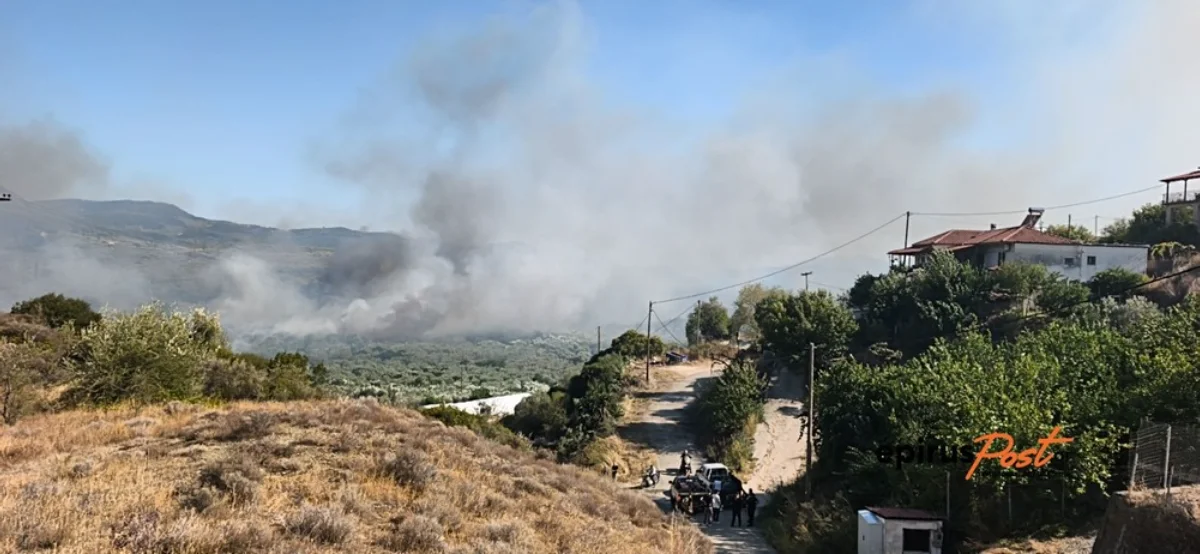 Κομπότι Άρτας: Βελτιωμένη η εικόνα στη φωτιά– Συνεχίζεται η μεγάλη επιχείρηση κατάσβεσης- Εικόνες 3 fotia kompoti