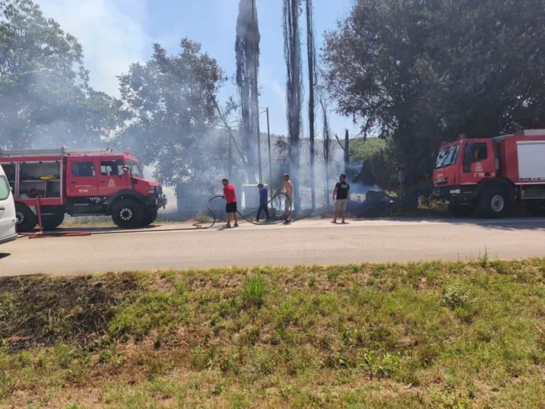 fotia piros vala