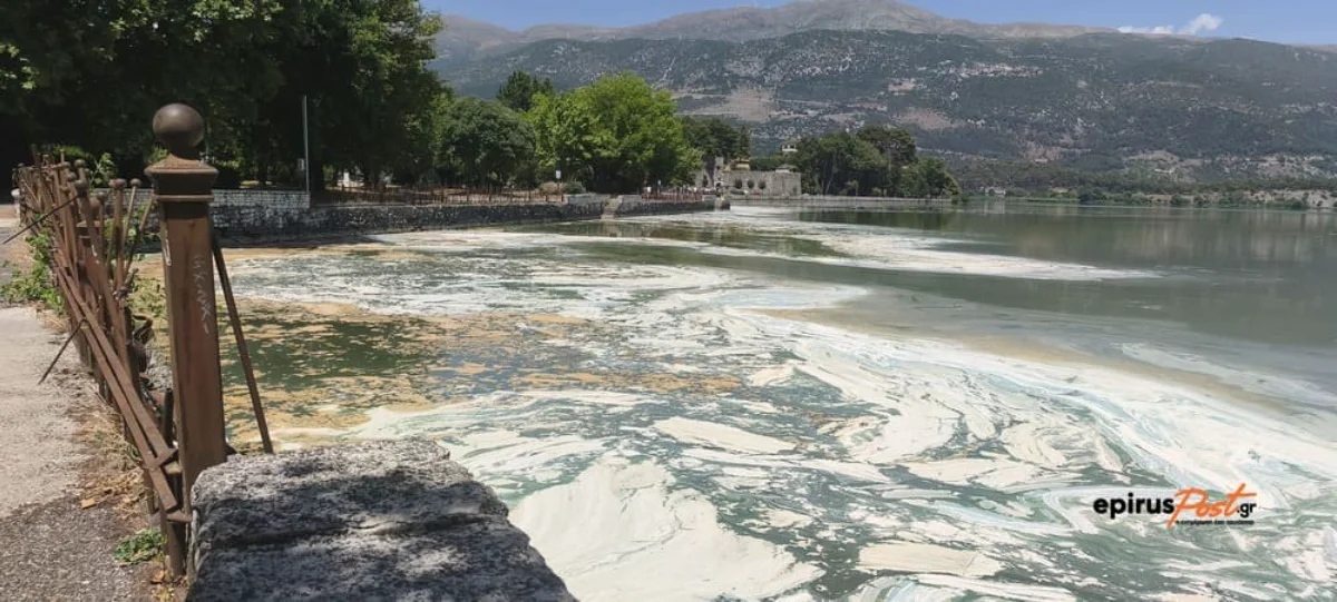 Παμβώτιδα: Η λίμνη των Ιωαννίνων με στρώμα φυτοπλαγκτόν– Δυσοσμία και εικόνες που προκαλούν ανησυχία 2 limni plagkton