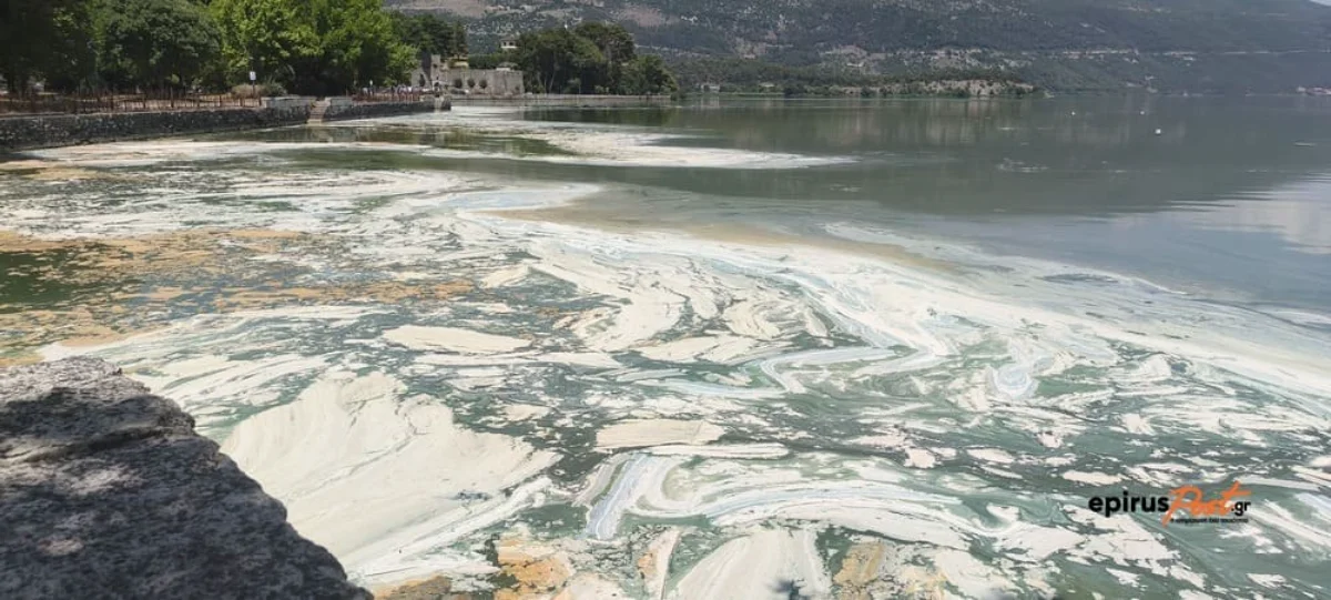 Παμβώτιδα: Η λίμνη των Ιωαννίνων με στρώμα φυτοπλαγκτόν– Δυσοσμία και εικόνες που προκαλούν ανησυχία 3 limni plagkton