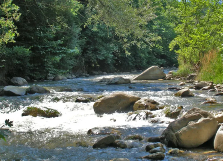 metsovitikos