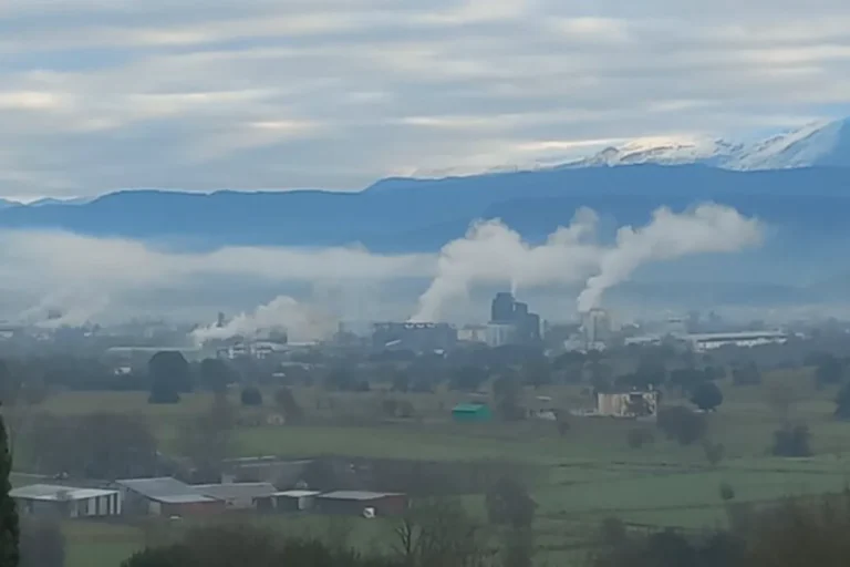 pedini ergostasia