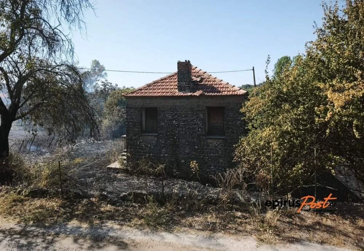 Ραδοβίζι Ζίτσας: Οι φλόγες έφτασαν στις αυλές των σπιτιών – SOS για την ερήμωση των χωριών της Ηπείρου 2 radovizi fotia