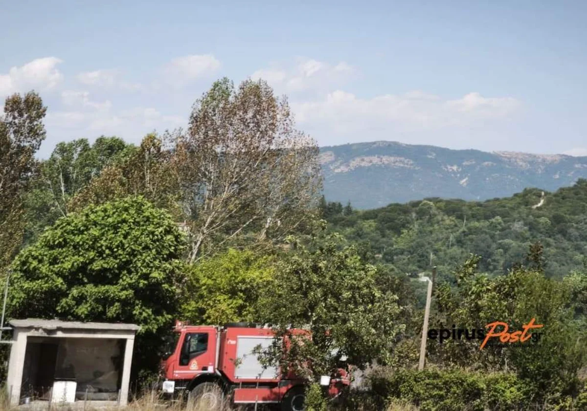 Ραδοβίζι Ζίτσας: Οι φλόγες έφτασαν στις αυλές των σπιτιών – SOS για την ερήμωση των χωριών της Ηπείρου 4 radovizi fotia