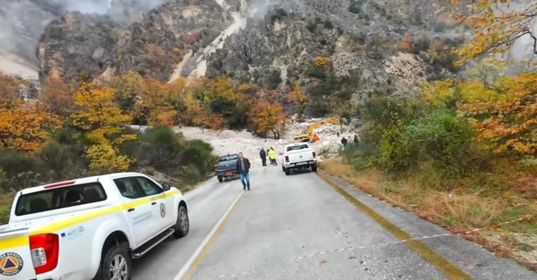 rodaugi arta zimies