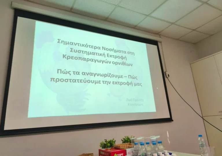 saek zitsas