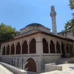 tzami kaloutsianis