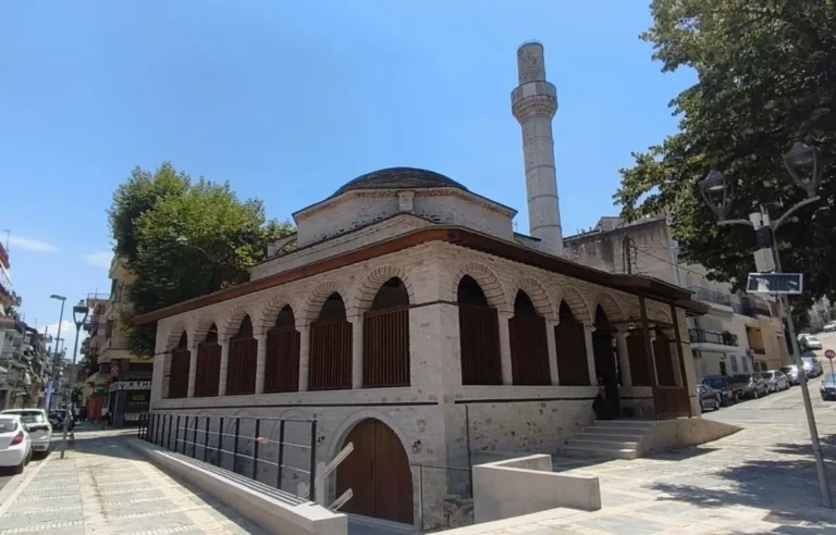 tzami kaloutsianis