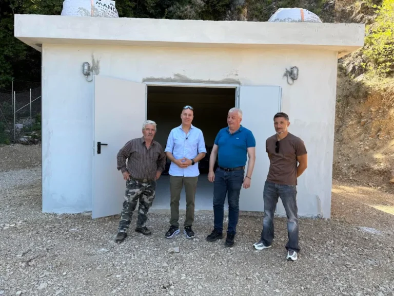 amiras pliakos