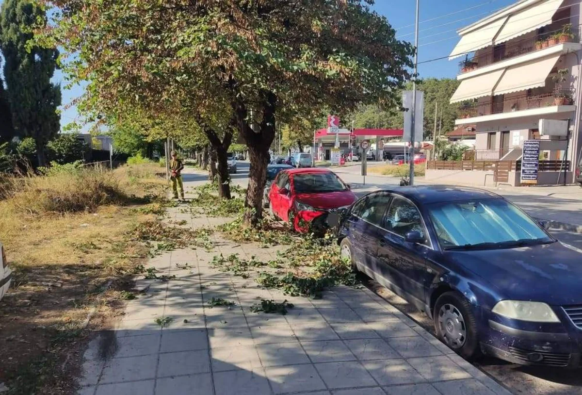 Χωρίς σήμανση και με κίνδυνο για οχήματα οι εργασίες κλαδέματος στα Ιωάννινα 1 dompoli dentra