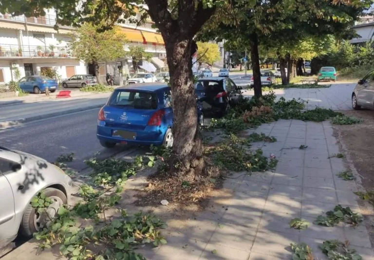 dompoli dentra