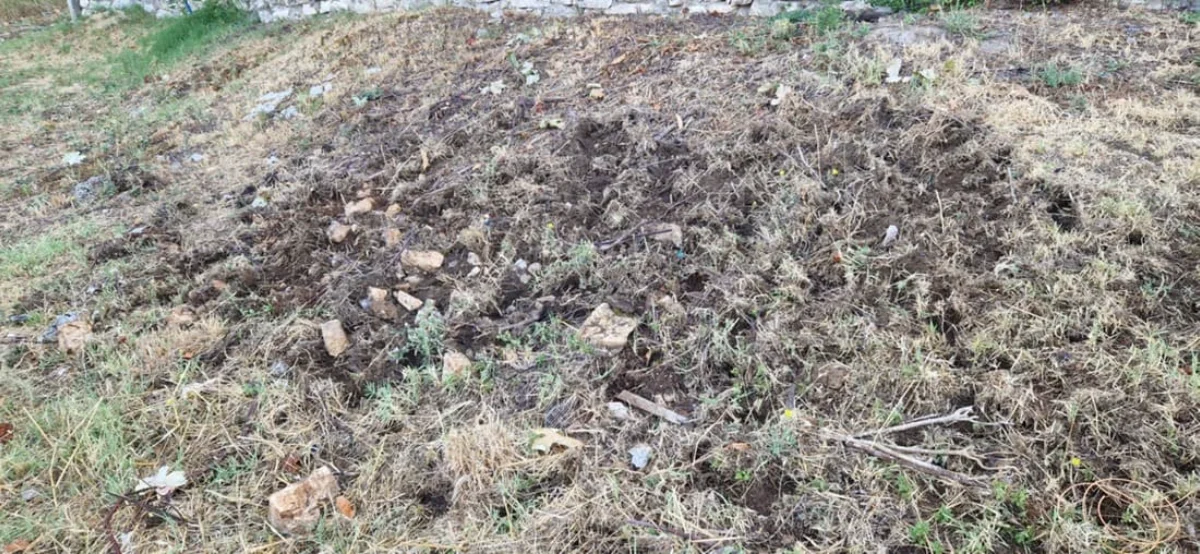 Αγριογούρουνα στον αστικό ιστό των Ιωαννίνων – Έφτασαν μέχρι τις αυλές των σπιτιών στη Δροσιά 1 drosia agriogourouna