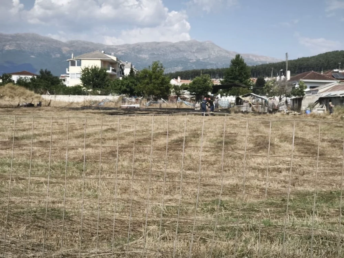 Καρδαμίτσια: Νέα φωτιά στο ίδιο σημείο! 1 fotia kardamitsia