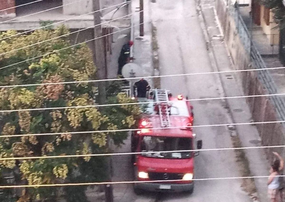 Μια γάτα… επιστράτευσε την Πυροσβεστική στα Γιάννινα – Η επιχείρηση διάσωσης 2 gata py