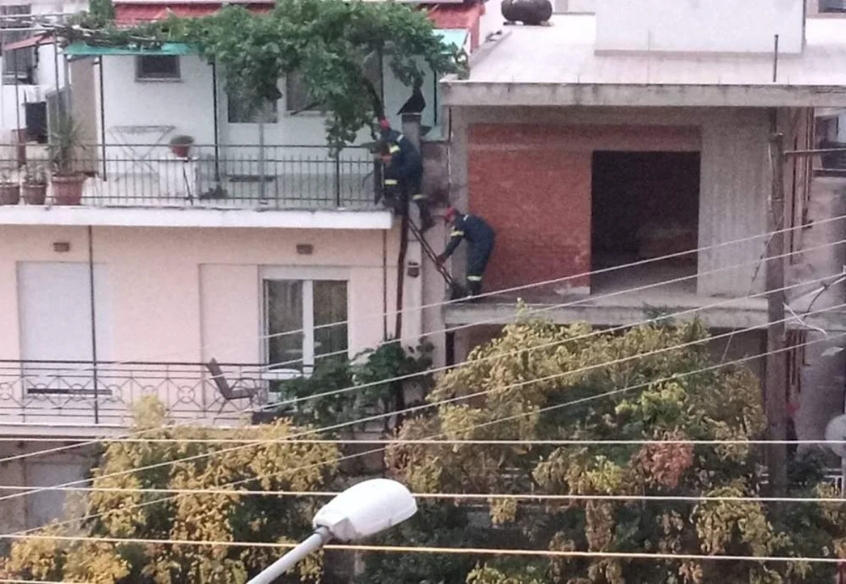 Μια γάτα… επιστράτευσε την Πυροσβεστική στα Γιάννινα – Η επιχείρηση διάσωσης 1 gata py