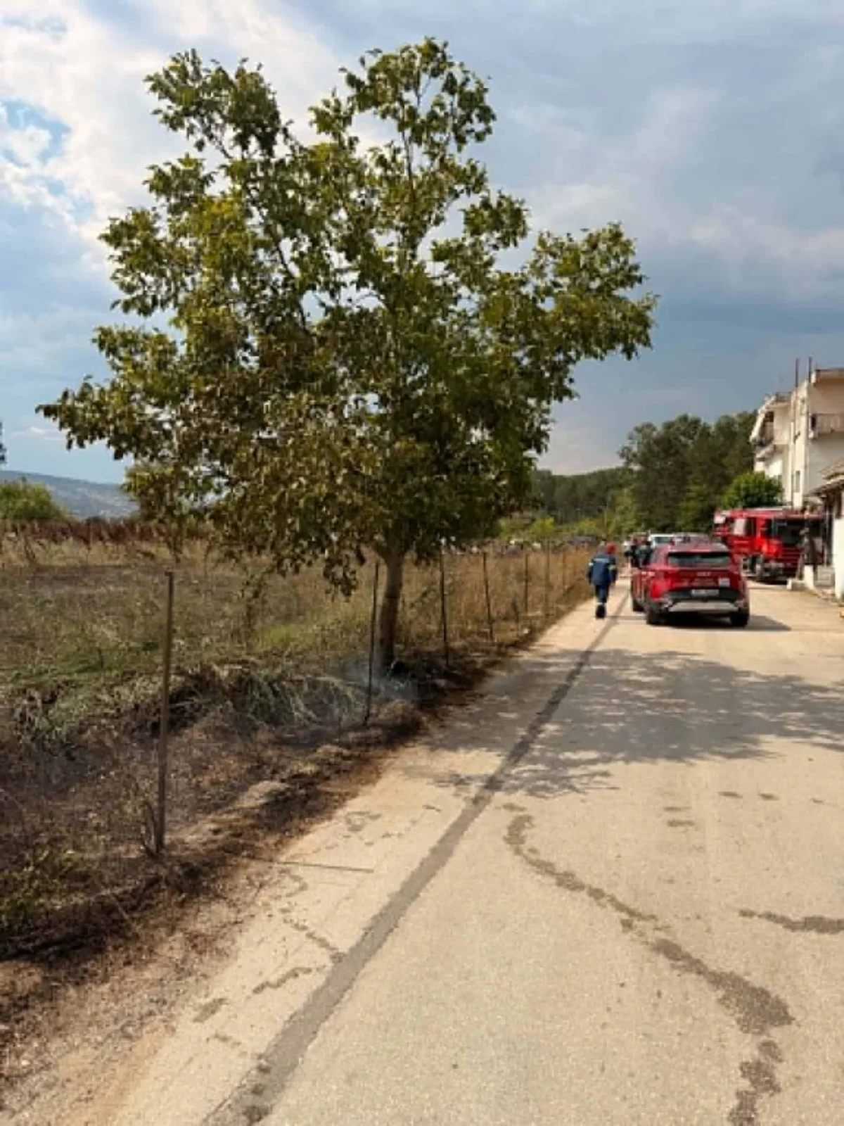 Φωτιά κοντά στο Γιαννιώτικο Σαλόνι τέθηκε άμεσα υπό έλεγχο 1 gianniotiko saloni fotia