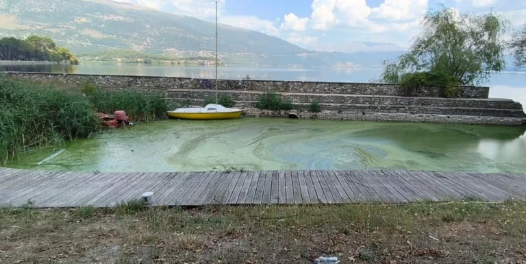 limanaki