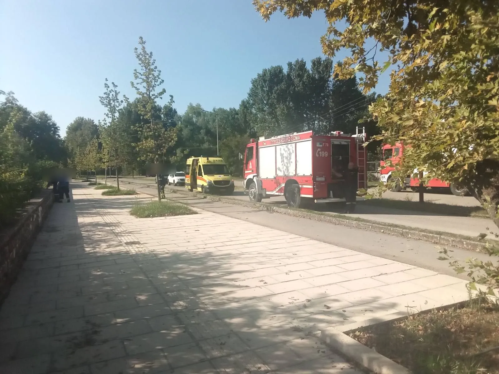 limni pirosvestiki