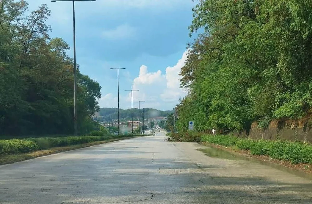 Σάρωσε το λεκανοπέδιο Ιωαννίνων το αιφνίδιο μπουρίνι- Πτώσεις δέντρων, υλικές ζημιές και η Βογιάννου ξανά λίμνη 2 mppurini