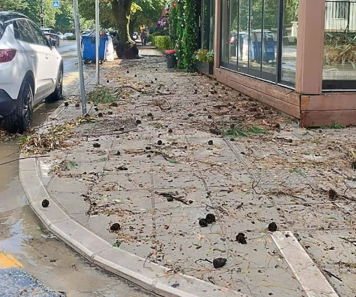 Σάρωσε το λεκανοπέδιο Ιωαννίνων το αιφνίδιο μπουρίνι- Πτώσεις δέντρων, υλικές ζημιές και η Βογιάννου ξανά λίμνη 1 mppurini