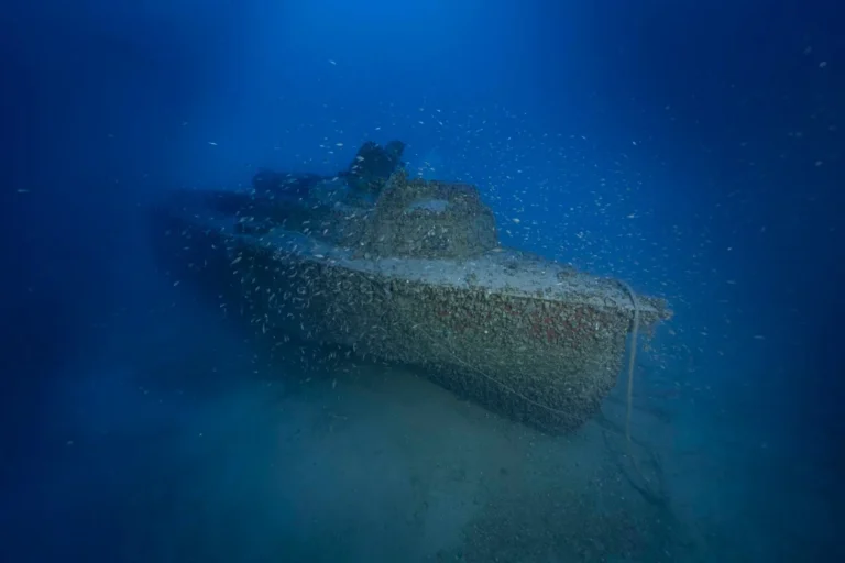 nauagio