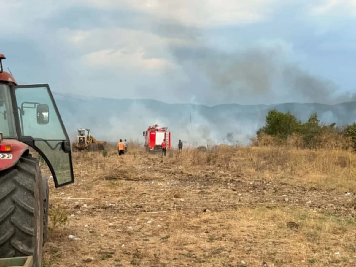 Φωτιά στον Παρακάλαμο: Στο σημείο 26 πυροσβέστες και μηχανήματα του Δήμου Πωγωνίου-Εικόνες 1 parakalamos fotia