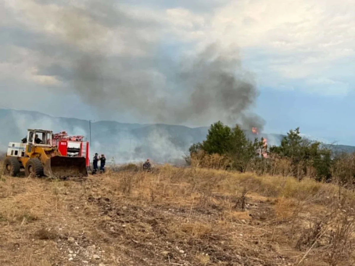 Φωτιά στον Παρακάλαμο: Στο σημείο 26 πυροσβέστες και μηχανήματα του Δήμου Πωγωνίου-Εικόνες 2 parakalamos fotia