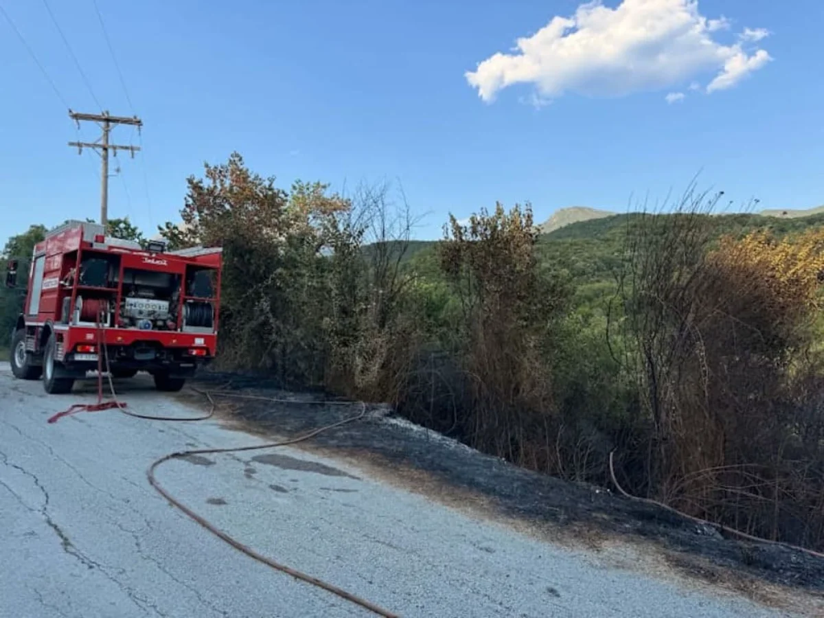 Φωτιά στη Σμυρτιά: Ανακόπηκε πριν περάσει στο δάσος- Εικόνες 2 smirtia fotia