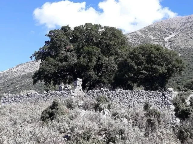 souli koimitirio