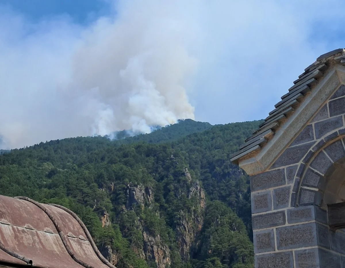 Φωτιά στην Κόνιτσα: 6.290 στρέμματα έχουν γίνει στάχτη – Βελτιωμένη αλλά δύσκολη η κατάσταση 1 fotia moni