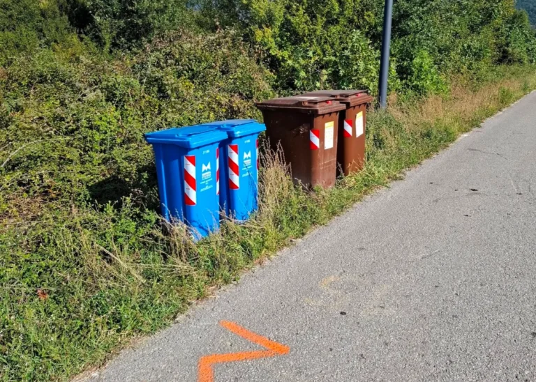 kadoi anakiklosis