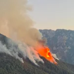 konitsa