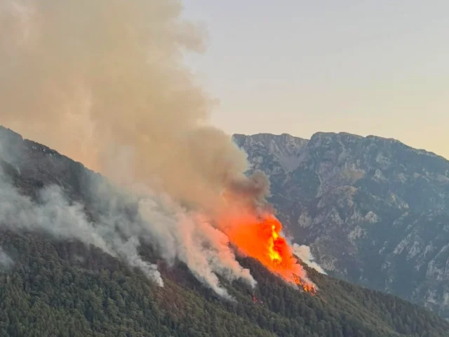 konitsa