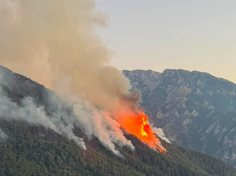 konitsa