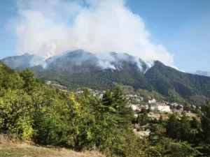 konitsa fotia
