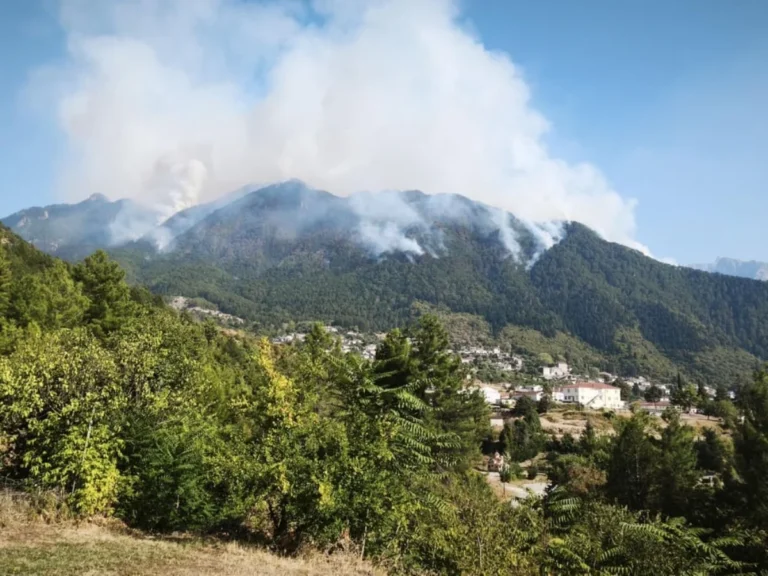 konitsa fotia