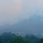 konitsa fotia