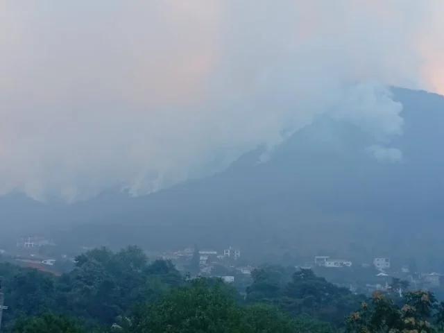 konitsa fotia