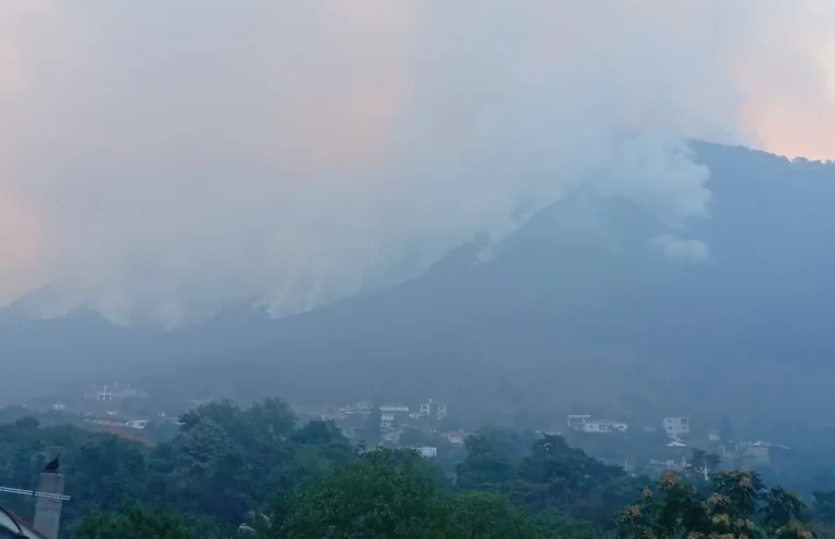 konitsa fotia