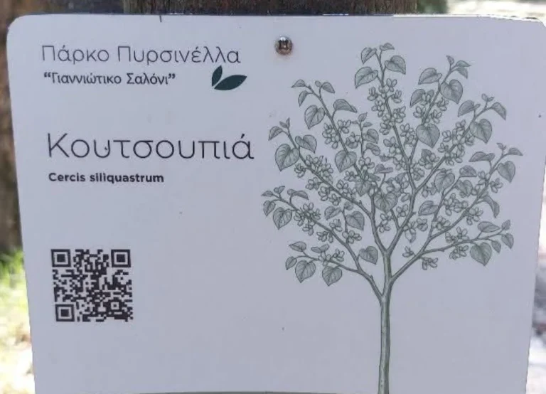 koutsoupia