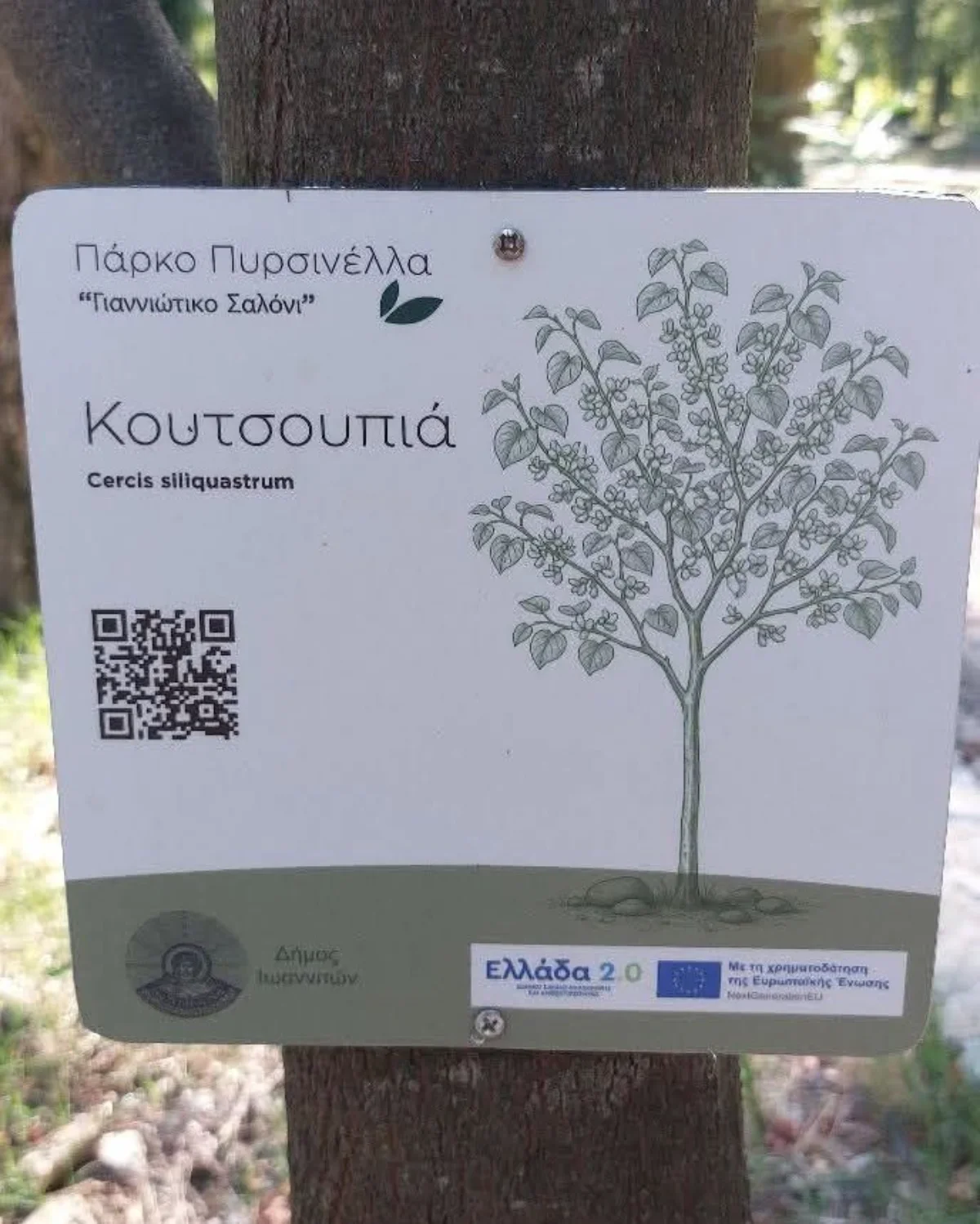 Βίδωσαν τις «έξυπνες» πινακίδες πάνω στους κορμούς των δέντρων! 1 koutsoupia
