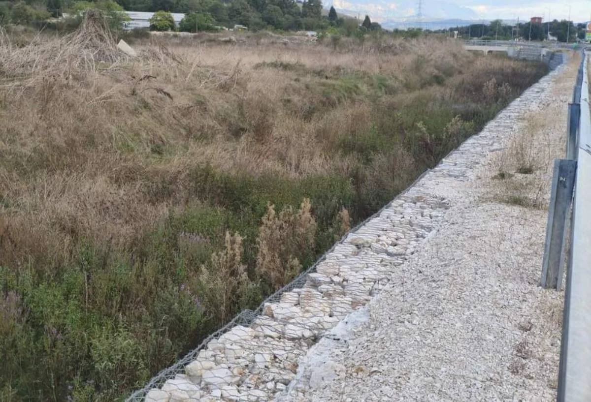 Καρδαμίτσια–Σταυράκι: Η λαγκάτσα χάθηκε μέσα στη βλάστηση 2 lagkatsa