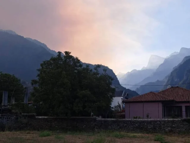 trapezitsa