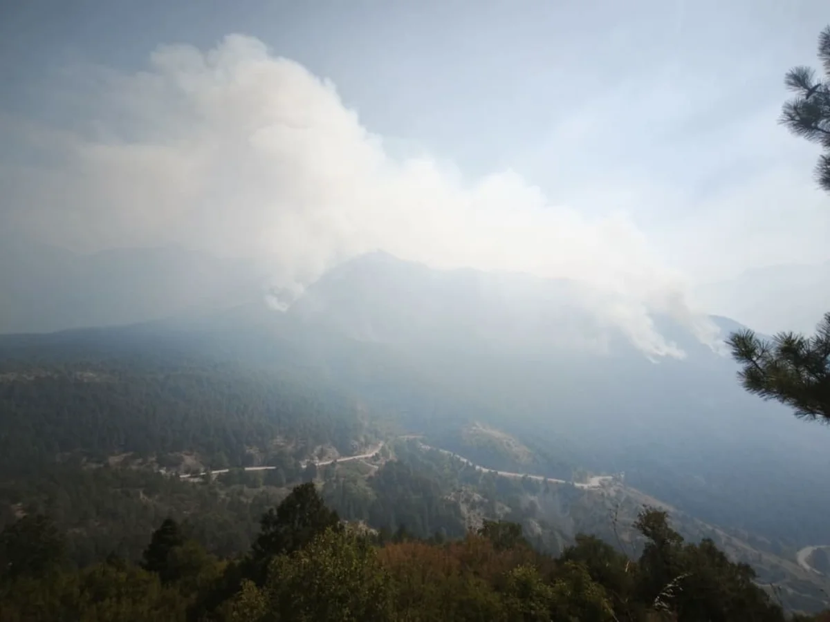 Κόνιτσα: Απειλητικό το πύρινο μέτωπο – Μάχη να μην φτάσουν οι φλόγες στην πόλη 1 trapezitsa fotia