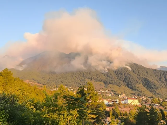 trapezitsa fotia